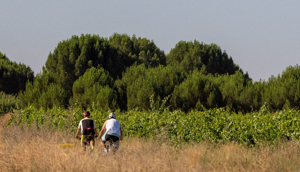 Entre viñedos y horizonte infinito. La naturaleza que define la Ruta del Vino de Rueda