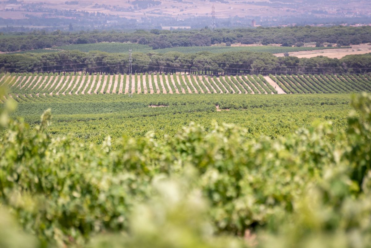 Rueda en verde: el compromiso de nuestra Ruta con el turismo del futuro