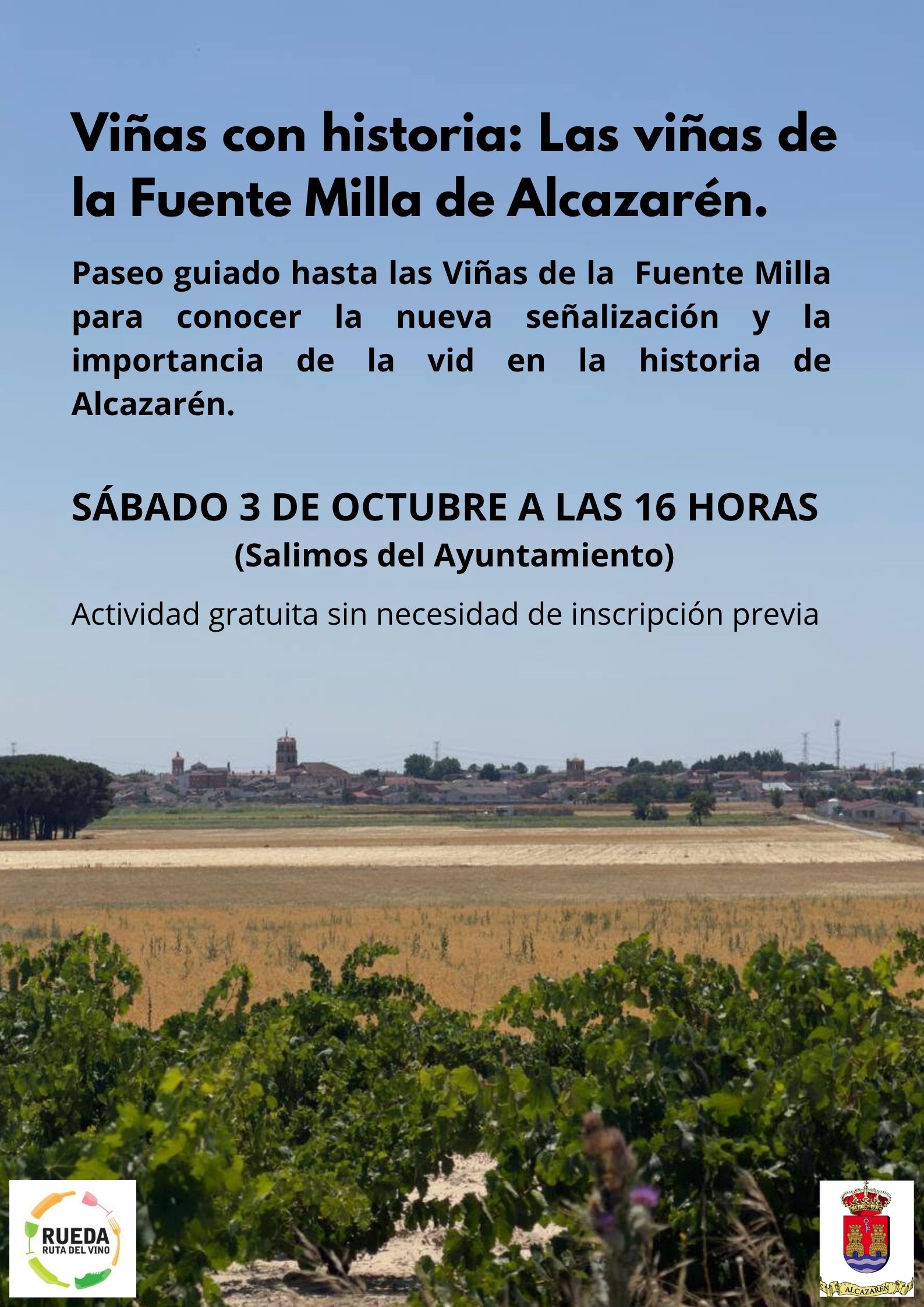 Viñas con historia: un paseo entre las cepas centenarias de Alcazarén